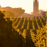 Château Figeac Saint-Émilion 2020