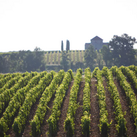 Château Calon Ségur Saint-Estèphe 2001