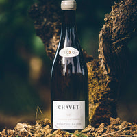 Domaine Chavet "Clos des Jentonnes" 2021