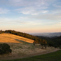 Moon Hollow Grenache 2019