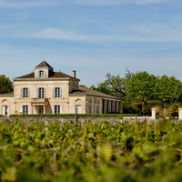 Château Montrose Saint-Estèphe 2016