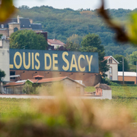 Champagne Louis de Sacy Grand Cru