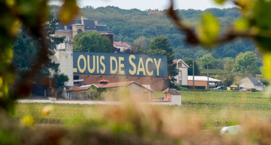 Champagne Louis de Sacy Grand Cru