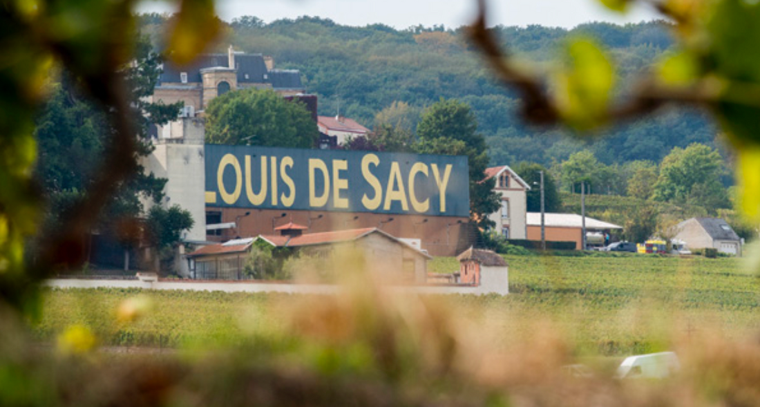 Champagne Louis de Sacy Grand Soir 2011