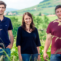 Domaine Passy Le Clou Chablis 2022