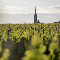 Château La Conseillante Pomerol 2016