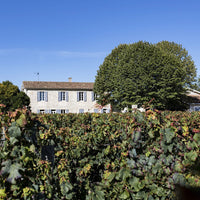 Château Magdeleine Bouhou Grand Vin 2016