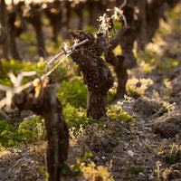 Château Giscours Margaux 2018