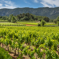 Mas des Infermières Rouge Luberon 2020