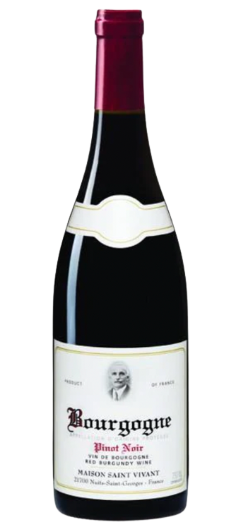 Maison Saint Vivant Bourgogne Pinot Noir 2021