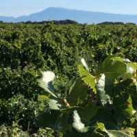 Domaine du Père Caboche Châteauneuf-du-Pape 2021