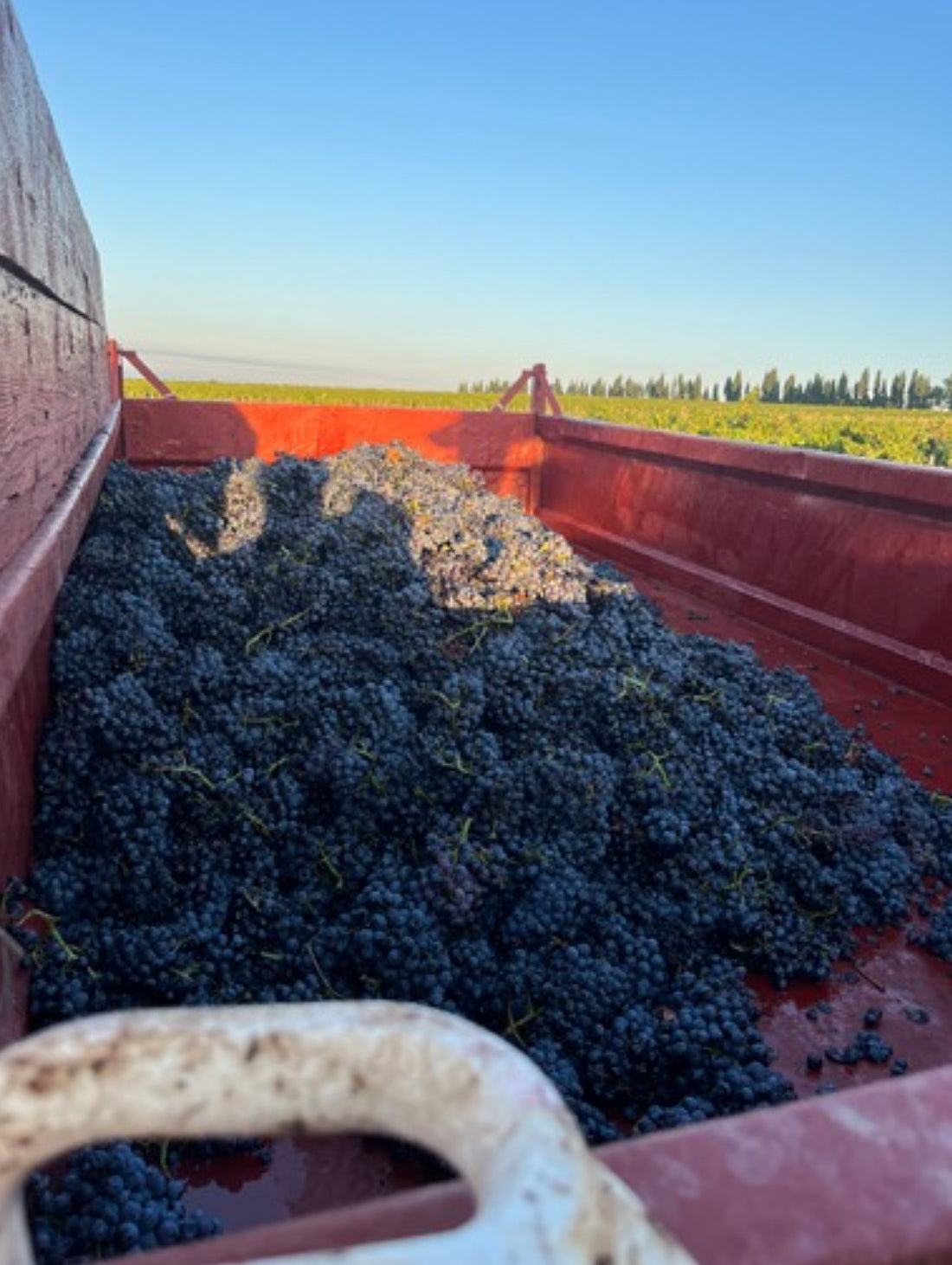 Domaine du Père Caboche Châteauneuf-du-Pape 2021