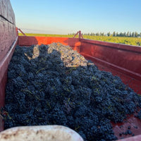 Domaine du Père Caboche Châteauneuf-du-Pape 2021