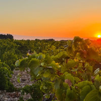 Domaine du Père Caboche Châteauneuf-du-Pape 2021