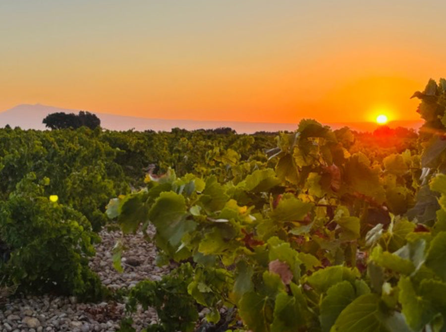 Domaine du Père Caboche Châteauneuf-du-Pape 2021