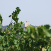 Domaine du Père Caboche Châteauneuf-du-Pape 2021