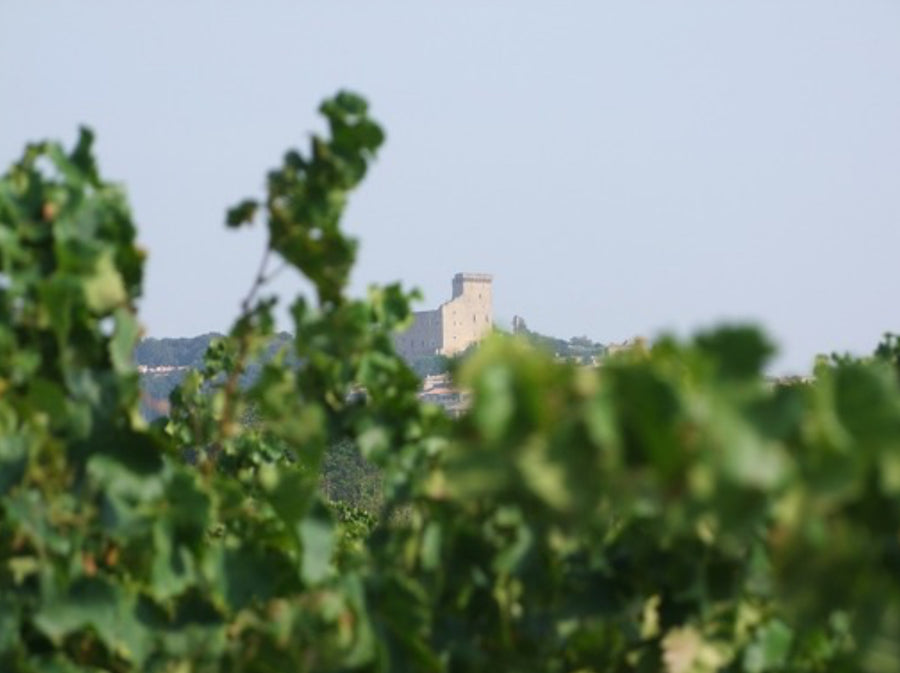 Domaine du Père Caboche Châteauneuf-du-Pape 2021