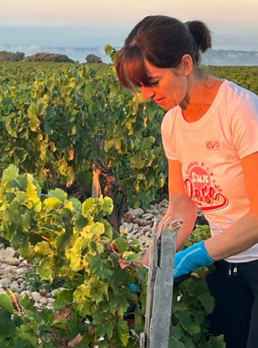 Domaine du Père Caboche Châteauneuf-du-Pape 2021