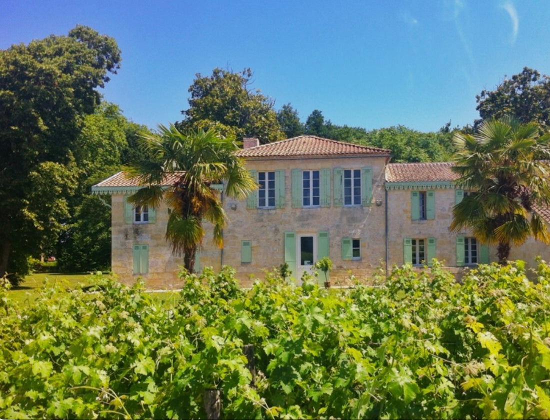 Château Belle-Vue Haut-Médoc Cru Bourgeois Exceptionnel 2019