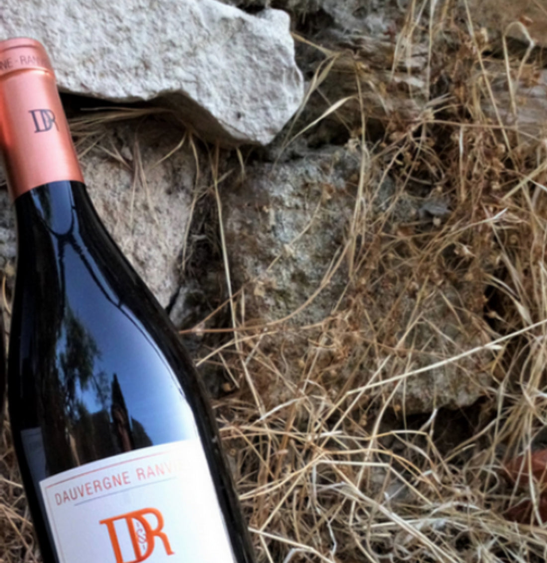 Dauvergne Ranvier Côte Rôtie 2020