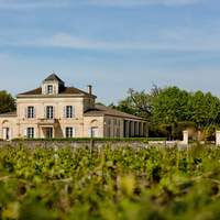 Château Montrose Saint-Estèphe 2008