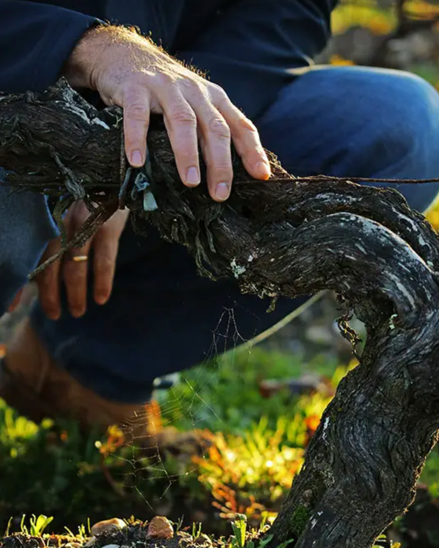 Château Smith Haut Lafitte Pessac-Léognan 2015