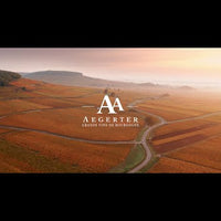 Domaine Aegerter Volnay Pinot Noir 2021