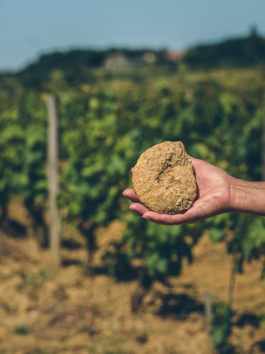 Domaine de l’Ermitage Sauvignon Blanc Menetou-Salon 2022