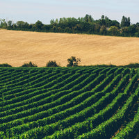 Domaine de l'Ermitage Menetou-Salon 2021