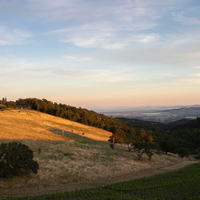 Moon Hollow 2019 Syrah