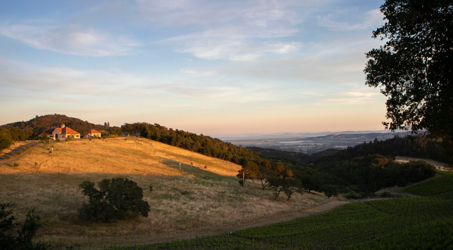 Moon Hollow 2019 Syrah