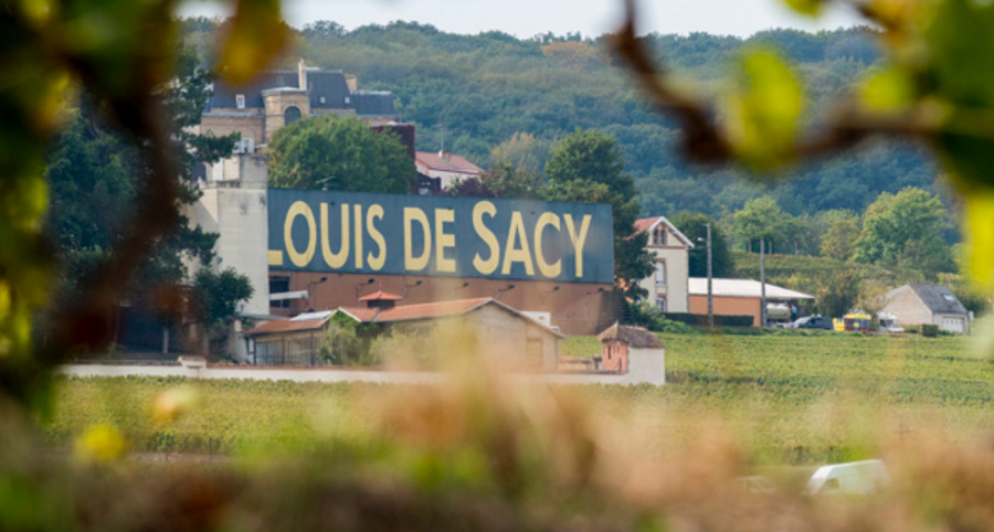 Champagne Louis de Sacy Cuvée Inédite Blanc de Blancs