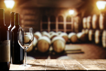 The Cellar